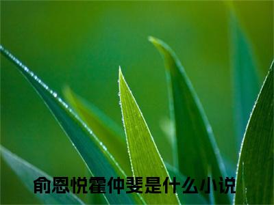 俞恩悦霍仲斐小说全文阅读-（俞恩悦霍仲斐）小说全文免费阅读无弹窗大结局