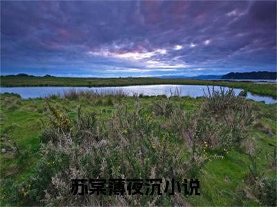 苏棠薄夜沉全集小说（苏棠薄夜沉）全文免费阅读无弹窗大结局_苏棠薄夜沉最新章节列表_笔趣阁（苏棠薄夜沉）