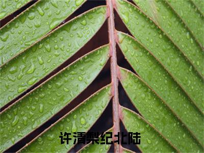 许清梨纪北陆（许清梨纪北陆）全文免费阅读无弹窗大结局_（许清梨纪北陆）最新章节列表笔趣阁