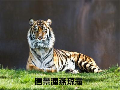 唐景渊燕琼霜（唐景渊燕琼霜）免费阅读全本资源-热门新书唐景渊燕琼霜在线阅读