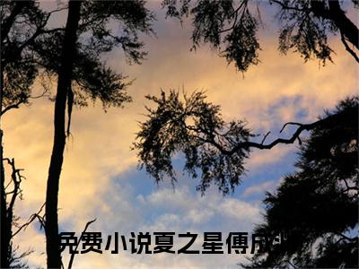 夏之星傅成渊（夏之星傅成渊）全文免费阅读无弹窗大结局_夏之星傅成渊小说最新章节列表笔趣阁（夏之星傅成渊）