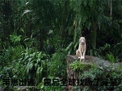 安歌霍少衍（带崽出逃，霍总全球找疯了）全文免费阅读_安歌霍少衍（带崽出逃，霍总全球找疯了）最新章节小说免费阅读（安歌霍少衍）