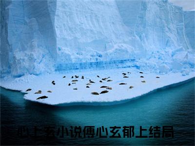心上玄（傅心玄郁上）心上玄笔趣阁免费小说_心上玄笔趣阁全文阅读