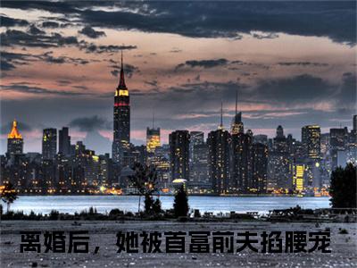 （离婚后，她被首富前夫掐腰宠）全文免费阅读 傅寒夜夏浅言情小说讲的是什么