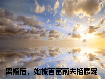 傅寒夜夏浅免费离婚后，她被首富前夫掐腰宠读无弹窗最新章节列表_笔趣阁（傅寒夜夏浅）