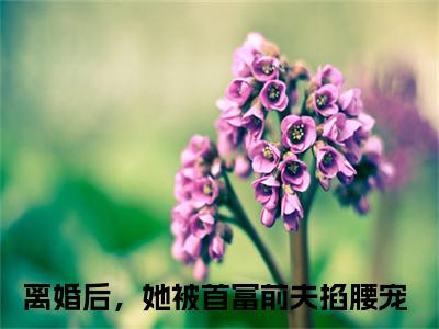 离婚后，她被首富前夫掐腰宠（完整版）热文小说阅读-离婚后，她被首富前夫掐腰宠全文抖音热推