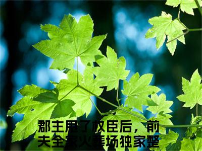 宋初语康睿郡主甩了权臣后，前夫全家火葬场免费阅读大结局无弹窗-宋初语康睿小说推荐郡主甩了权臣后，前夫全家火葬场精彩章节在线阅读