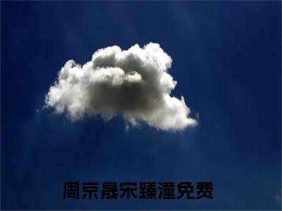 周京晟宋臻潼小说最新章节阅读 周京晟宋臻潼全文免费阅读最新章节大结局