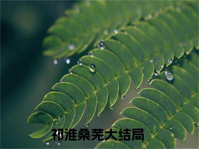 祁淮桑芜（祁淮桑芜小说）小说全文免费阅读无弹窗大结局_（祁淮桑芜）祁淮桑芜最新章节列表_笔趣阁
