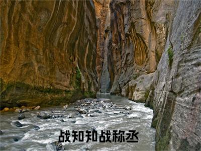 战知知战称丞小说完整版阅读-（九个哥哥罩着我，嚣张亿点点怎么了）小说全文免费阅读