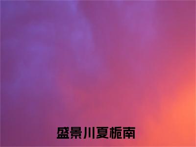 盛景川夏栀南（盛景川夏栀南）全文免费阅读无弹窗大结局_盛景川夏栀南最新章节列表（盛景川夏栀南）