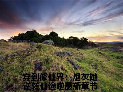 穿到修仙界：炮灰她逆转仙途啦（时墨霍廷烨）全文免费阅读无弹窗大结局_（时墨霍廷烨无弹窗）最新章节免费阅读_笔趣阁