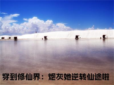 时墨霍廷烨最新热门小说-（穿到修仙界：炮灰她逆转仙途啦）最新章节免费阅读