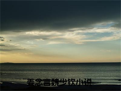姜念言魏少钦（姜念言魏少钦）小说最后结局-（姜念言魏少钦）完结版免费阅读