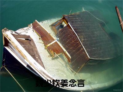 魏少钦姜念言精彩小说赏析全文 魏少钦姜念言热门小说免费阅读