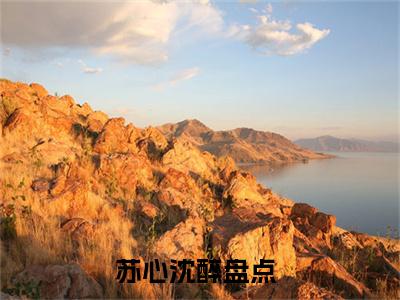 苏心沈醉（我闪婚的禁欲老公，竟是财阀大佬）全文无弹窗阅读-精彩小说我闪婚的禁欲老公，竟是财阀大佬（苏心沈醉）