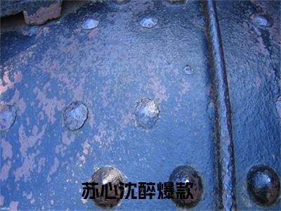 我闪婚的禁欲老公，竟是财阀大佬（苏心沈醉）全文免费阅读无弹窗大结局_苏心沈醉最新章节列表_笔趣阁（我闪婚的禁欲老公，竟是财阀大佬）