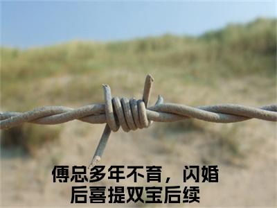 司颜傅厉行是傅总多年不育，闪婚后喜提双宝的小说（司颜傅厉行）免费读_小说免费傅总多年不育，闪婚后喜提双宝读-笔趣阁