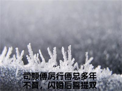 傅总多年不育，闪婚后喜提双宝小说全文免费阅读-（司颜傅厉行）抖音新书热荐傅总多年不育，闪婚后喜提双宝全文免费阅读