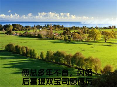 司颜傅厉行（傅总多年不育，闪婚后喜提双宝）全文免费阅读_司颜傅厉行最新章节小说免费阅读_笔趣阁