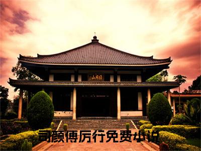 傅总多年不育，闪婚后喜提双宝（司颜傅厉行）全文免费阅读无弹窗大结局_司颜傅厉行(司颜傅厉行小说免费阅读)_笔趣阁