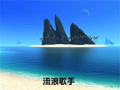 林天小说全文(流浪歌手)免费阅读全文无弹窗大结局_ 流浪歌手免费阅读无弹窗小说_笔趣阁