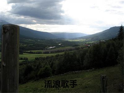 林天（流浪歌手）全文免费阅读无弹窗-流浪歌手完整版全文在线赏析