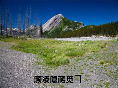 顾凌隐蒋觅玥全网首发小说，顾凌隐蒋觅玥全文免费阅读