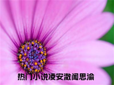 凌安澈闻思渝全文免费阅读无弹窗大结局-凌安澈闻思渝川在线阅读