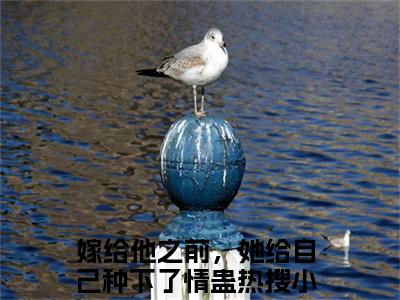 嫁给他之前，她给自己种下了情蛊（裴泽岳简意语）全文免费阅读无弹窗大结局_裴泽岳简意语小说最新章节列表_笔趣阁(嫁给他之前，她给自己种下了情蛊）