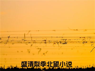 盛清梨季北望全网首发最新小说主角盛清梨季北望全文在线免费阅读
