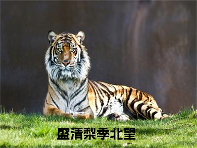 盛清梨季北望（盛清梨季北望）全文免费阅读-盛清梨季北望最新章节小说阅读-笔趣阁
