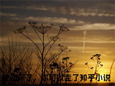 云靳简艾是她回来了，你可以走了的小说_主角是云靳简艾免费阅读_云靳简艾小说免费阅读-笔趣阁