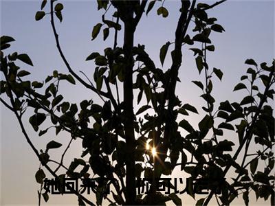 她回来了，你可以走了全文免费阅读无弹窗大结局-云靳简艾最新章节列表免费阅读