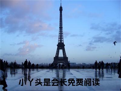 小丫头是会长小说免费阅读全文在线阅读,凛叶芯岚的小说在线阅读全文