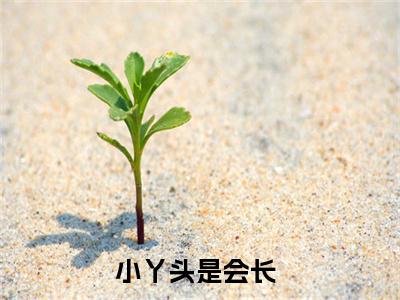 小丫头是会长(凛叶芯岚小说)全文免费阅读无弹窗大结局_(凛叶芯岚小说免费阅读全文大结局)最新章节列表_笔趣阁（凛叶芯岚小说）