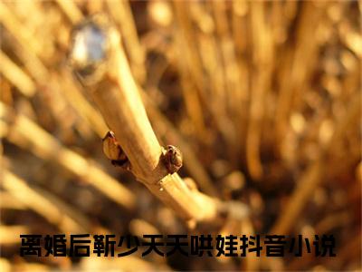 南媛靳北哲（离婚后靳少天天哄娃）小说最新章节阅读-全网最新首发小说南媛靳北哲（离婚后靳少天天哄娃）免费阅读全章节