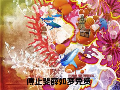 【新书】傅止斐薛如梦全文全章节免费阅读-傅止斐薛如梦小说免费阅读无弹窗最新章节列表