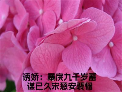诱娇：暴戾九千岁蓄谋已久全文（宋慈安裴悯）全文免费阅读无弹窗大结局_宋慈安裴悯免费最新章节列表_笔趣阁
