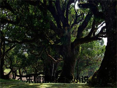 朱蕾蕾谢云斓（朱蕾蕾谢云斓小说）全文免费阅读无弹窗大结局_朱蕾蕾谢云斓全文免费阅读（朱蕾蕾谢云斓小说）最新章节列表_笔趣阁（朱蕾蕾谢云斓）