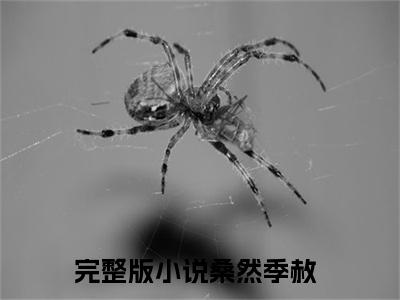 桑然季赦（桑然季赦）全文免费阅读大结局-桑然季赦完整版无弹窗
