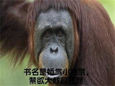 娇气小祖宗，禁欲大叔疯狂宠（温暖暖爵雨宴）全文免费阅读无弹窗完整版，(娇气小祖宗，禁欲大叔疯狂宠)免费阅读全文最新章节列表_笔趣阁