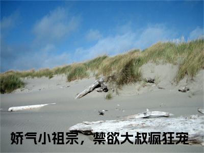 娇气小祖宗，禁欲大叔疯狂宠（温暖暖爵雨宴）全文免费阅读无弹窗_温暖暖爵雨宴最新小说