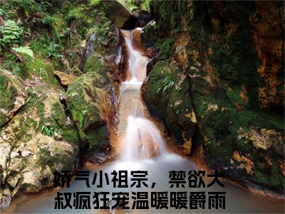 温暖暖爵雨宴小说全文免费阅读无弹窗大结局_娇气小祖宗，禁欲大叔疯狂宠最新章节列表_笔趣阁