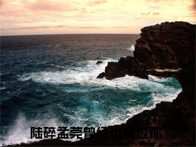 曾经也爱过你小说大结局完整版阅读，陆碎孟莞小说全文在线阅读
