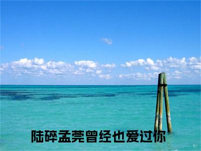 曾经也爱过你全文免费阅读无弹窗大结局_（陆碎孟莞）曾经也爱过你小说免费阅读完整版全文大结局