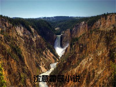 迟解的深情（沈意霍辰）全文免费阅读无弹窗大结局_迟解的深情热门小说最新章节阅读