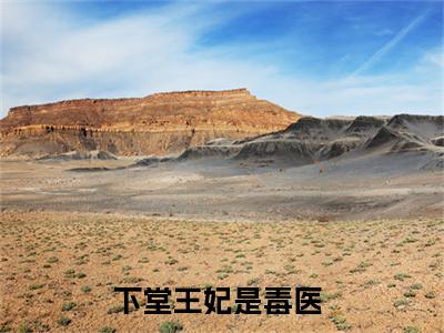 下堂王妃是毒医全文（风澜衣墨祈渊）全文免费阅读无弹窗大结局_（风澜衣墨祈渊）下堂王妃是毒医最新章节列表笔趣阁（风澜衣墨祈渊）