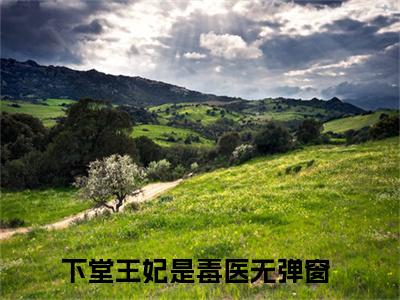 风澜衣墨祈渊全文免费阅读无弹窗大结局_（下堂王妃是毒医）风澜衣墨祈渊完整版全文在线赏析