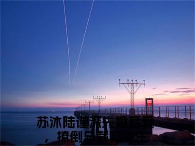 先婚后爱，撩倒总裁陆先生小说（苏沐陆谨深）全文免费阅读无弹窗_先婚后爱，撩倒总裁陆先生最新小说_笔趣阁（苏沐陆谨深）